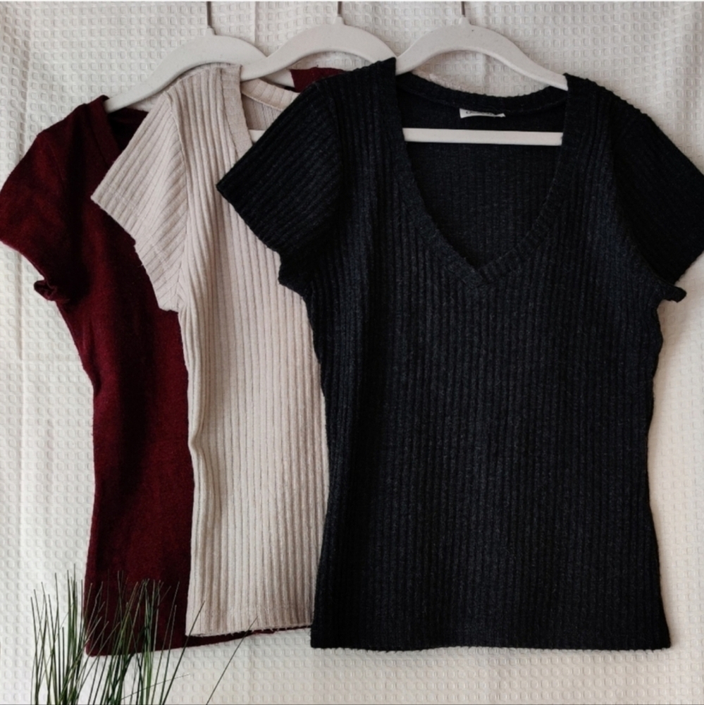 Charlotte Rouse Ribbed knit Short Sleeve Tops, Burgundy, Cream, D. Gray Med.(jr)